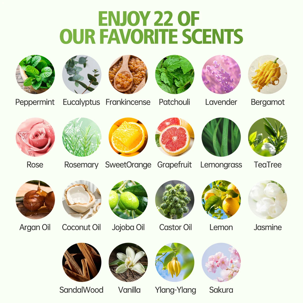 S966f5ac2074e4170b111684256b9239by